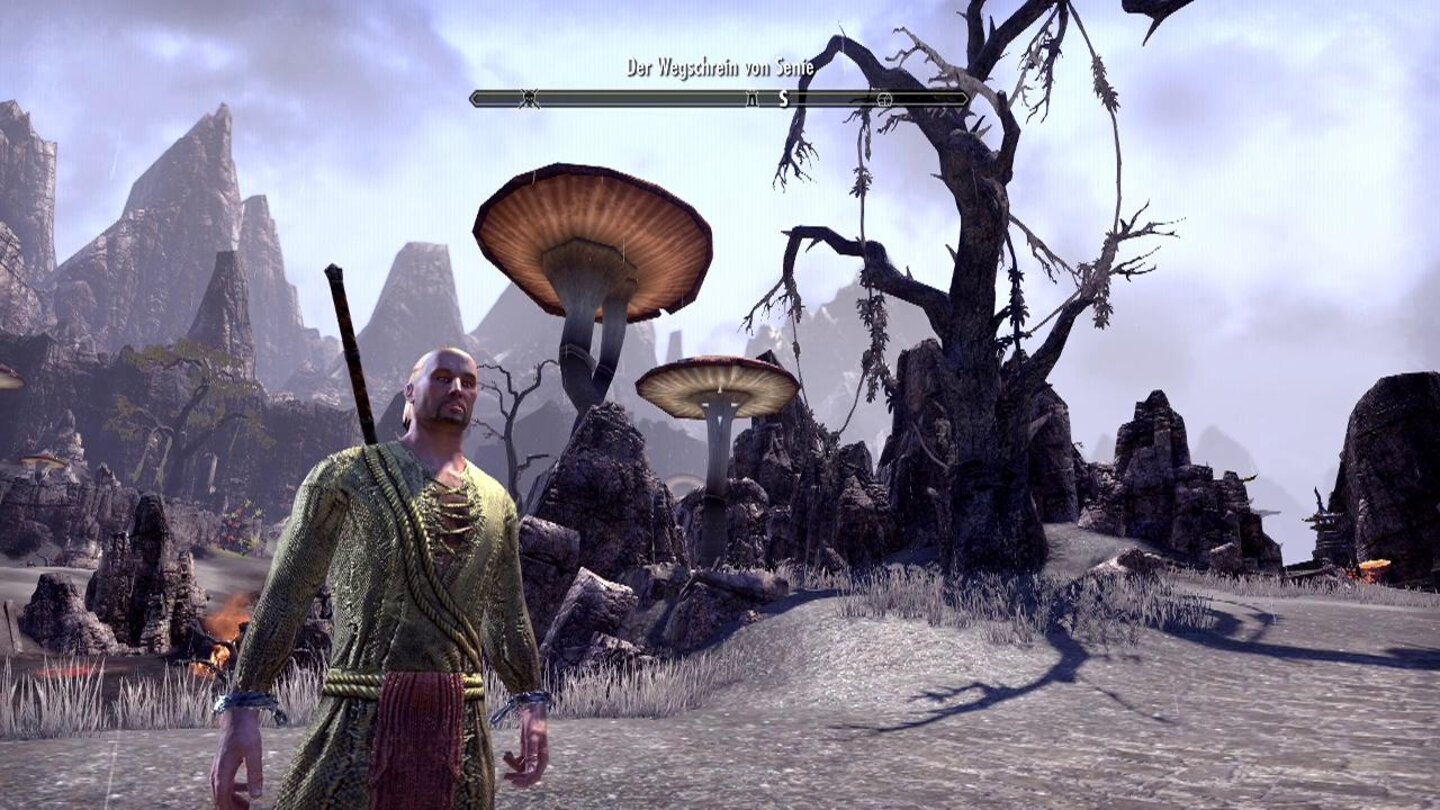 The Elder Scrolls Online: Tamriel UnlimitedMarkante Wegpunkte erleichtern die Orientierung in der Welt, in Morrowind gibt es zum Beispiel diese gigantischen Pilze.