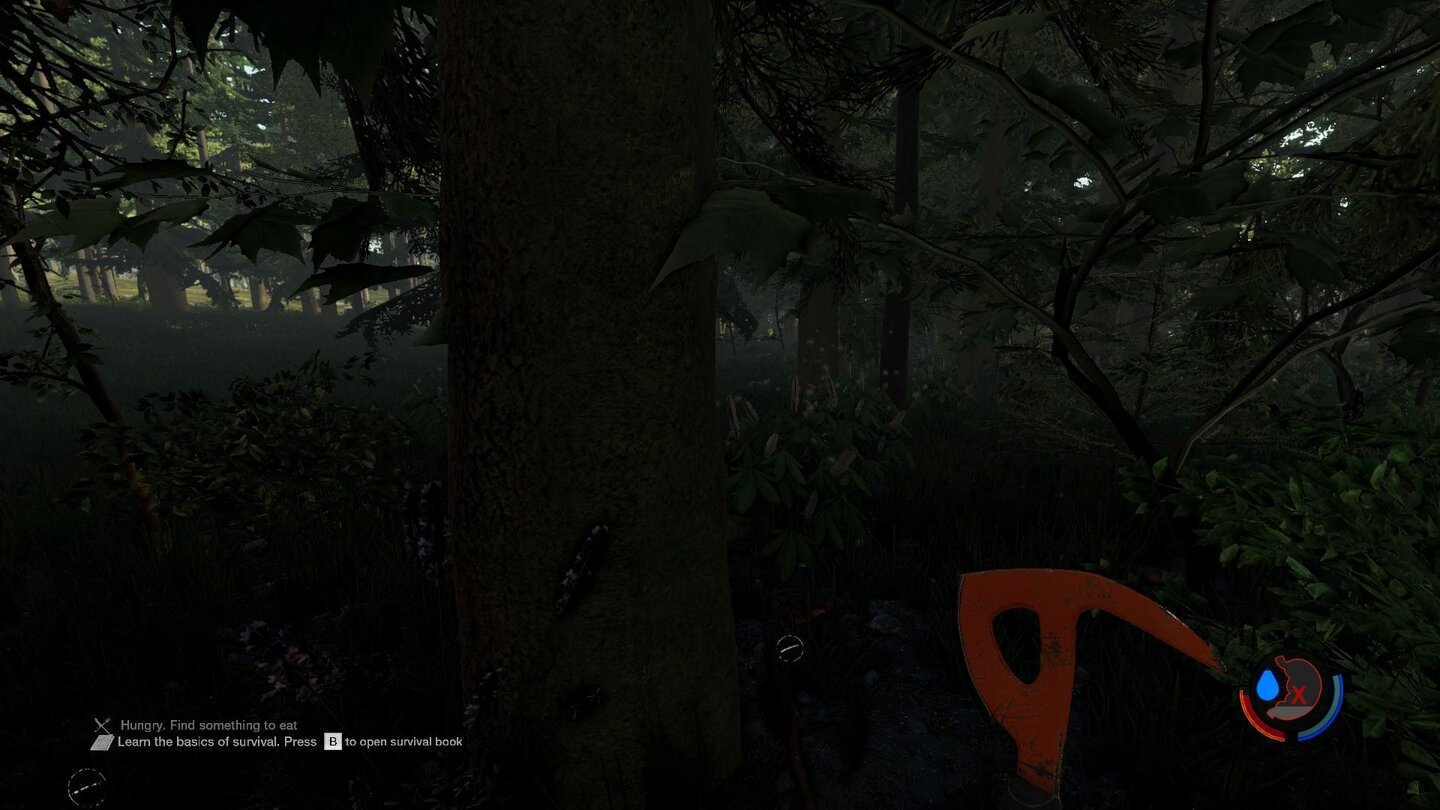 The Forest - Screenshots aus Version 0.20Das Moos an einem Baum zeigt jetzt immer Richtung Norden – verlaufen ist also nicht mehr.