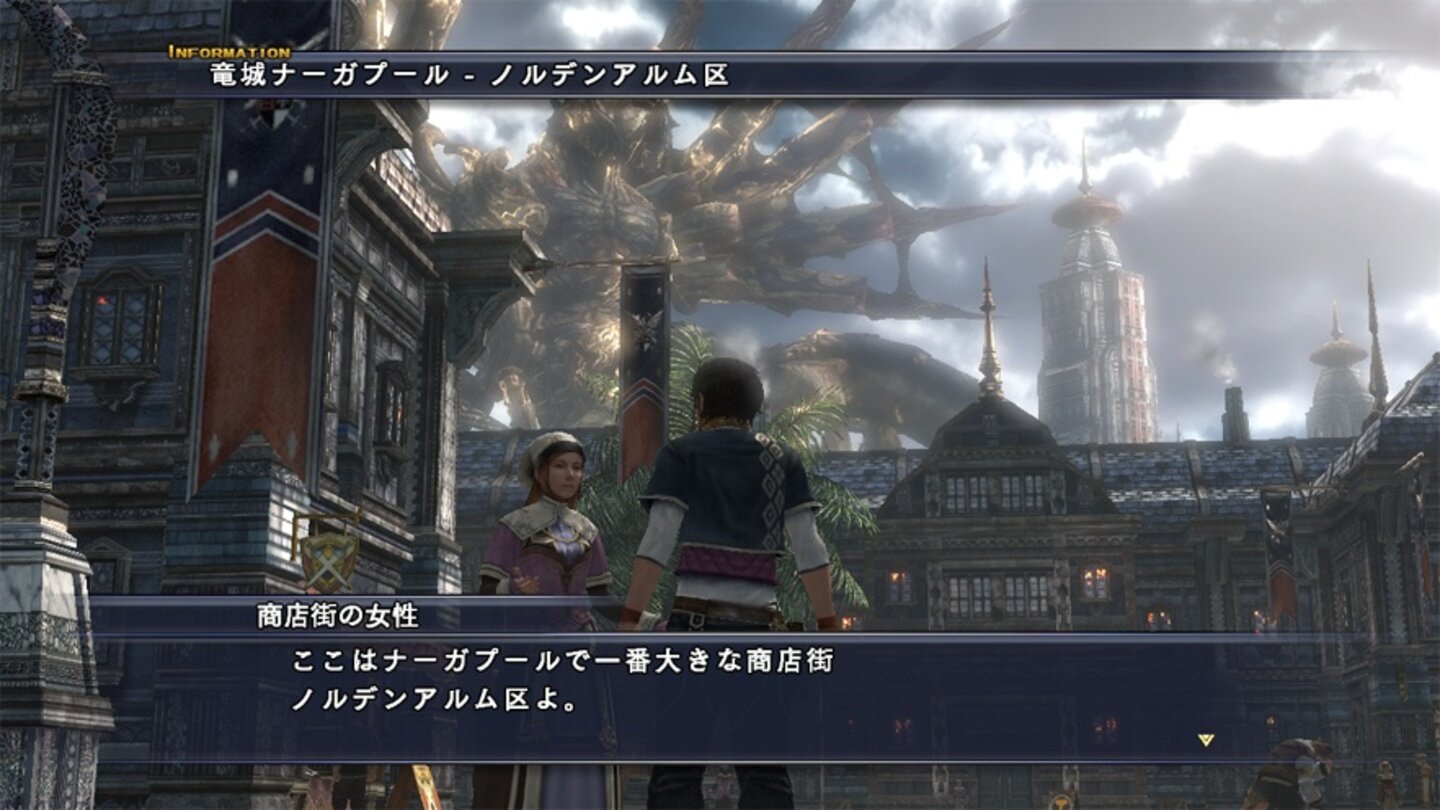 The Last Remnant 9