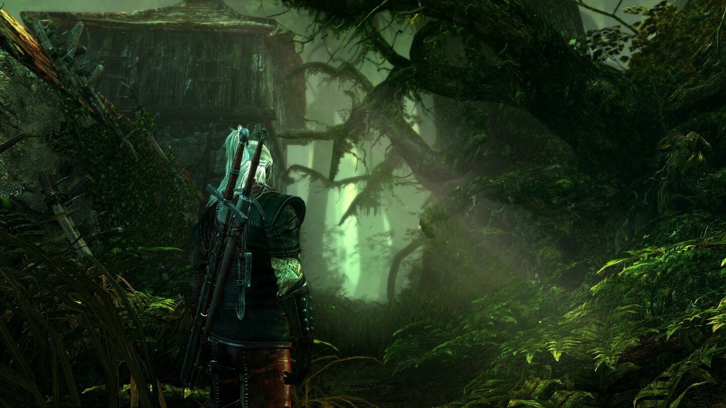 The Witcher 2: Assassins of Kings: E3 2010 Screenshots