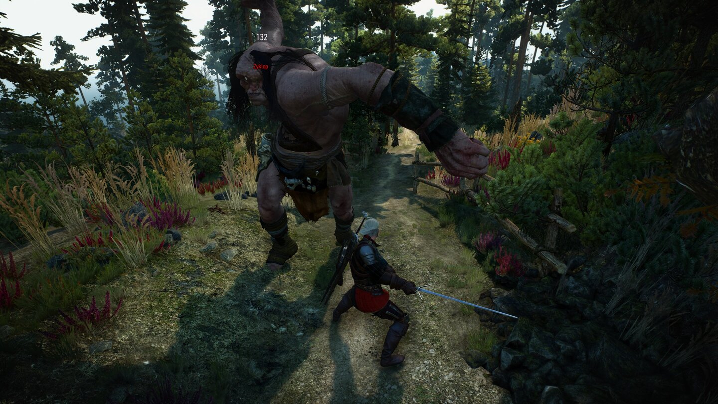 The Witcher 3: Wild Hunt (PC)
