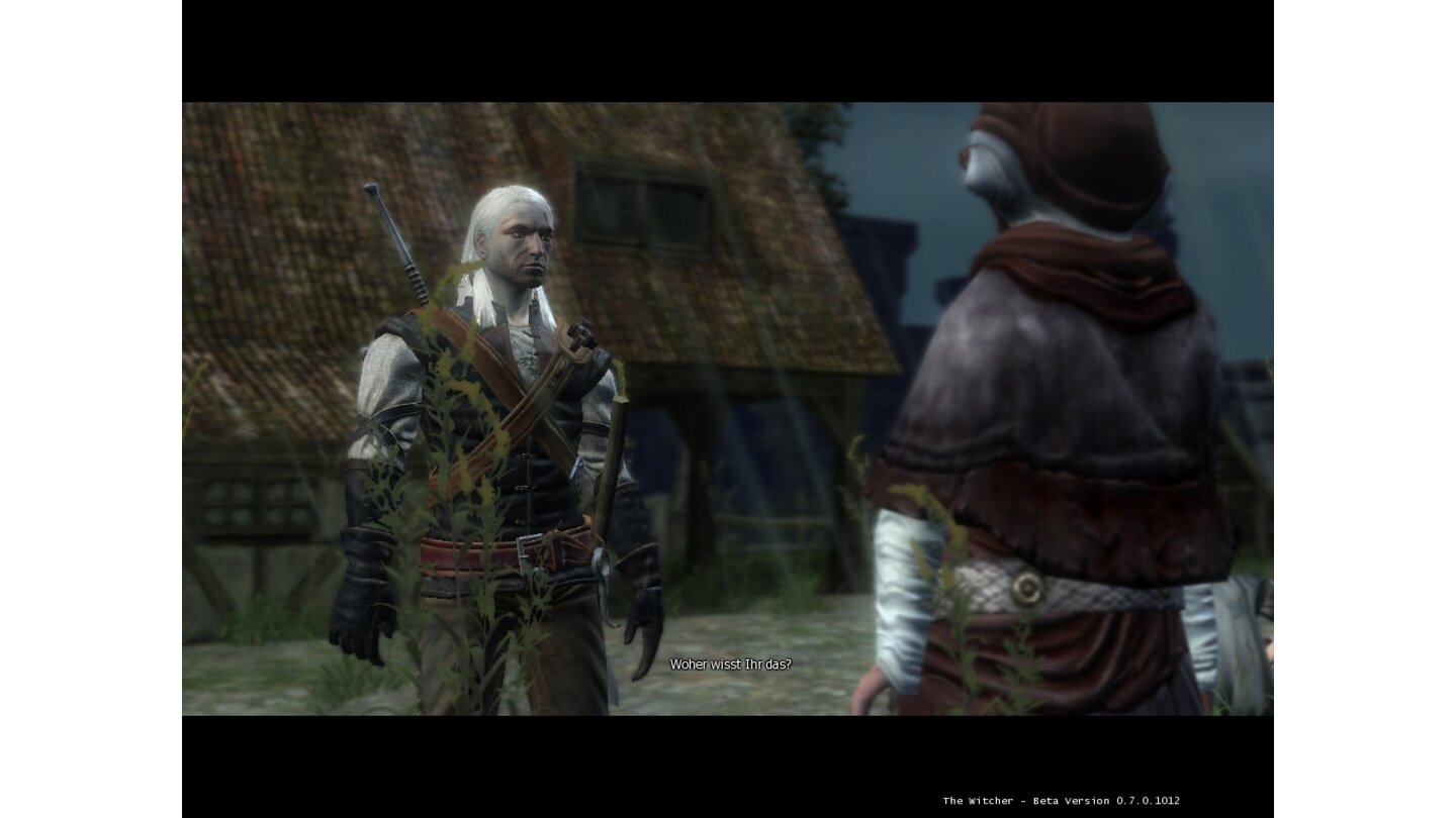 The Witcher 9