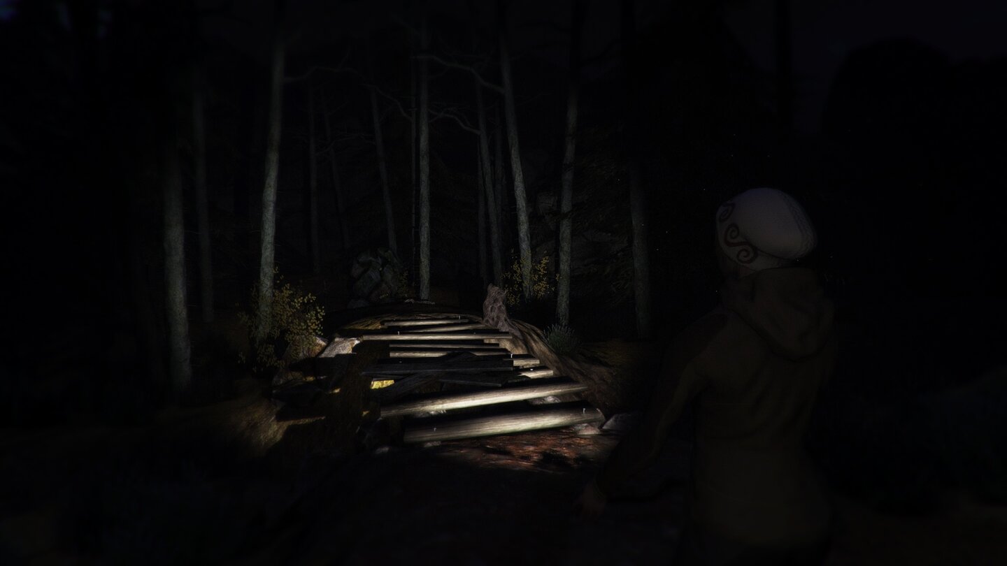 Through the Woods