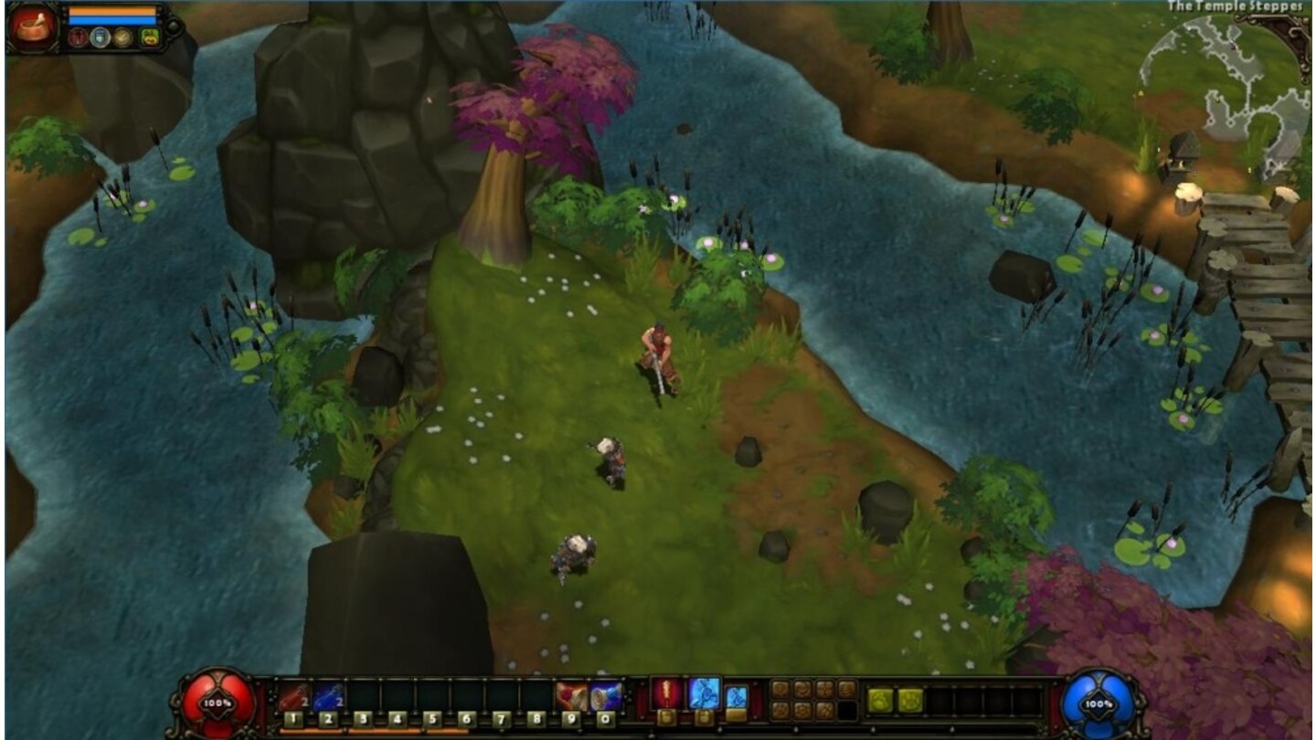 Torchlight 2