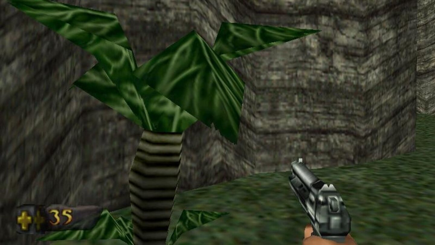 Turok Vegetation 006