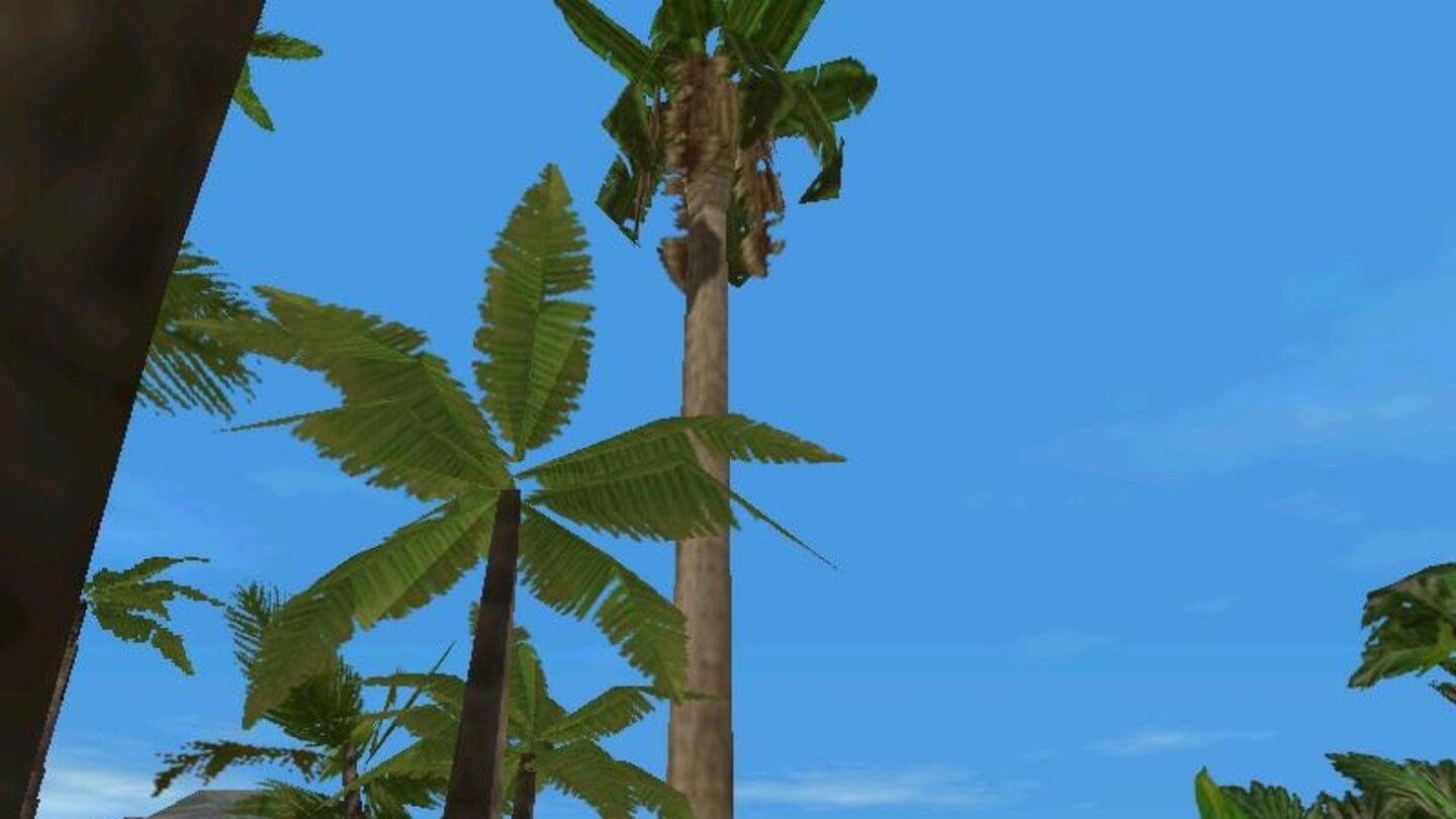 Vegetation in Trespasser