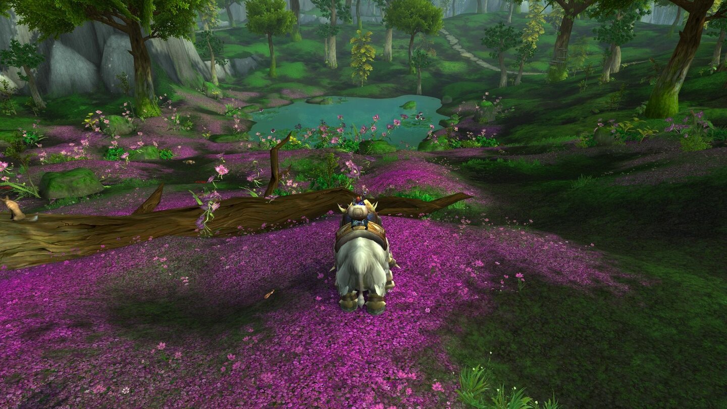 World of Warcraft: Mists of Pandaria Hoch