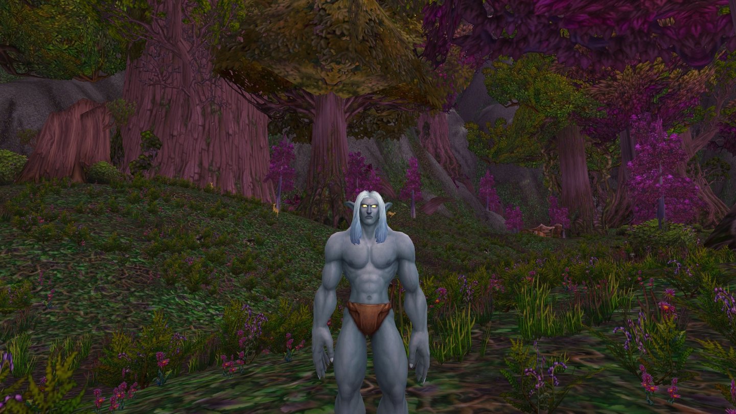 World of Warcraft: Warlords of DraenorMännlicher Nachtelf nach dem Addon