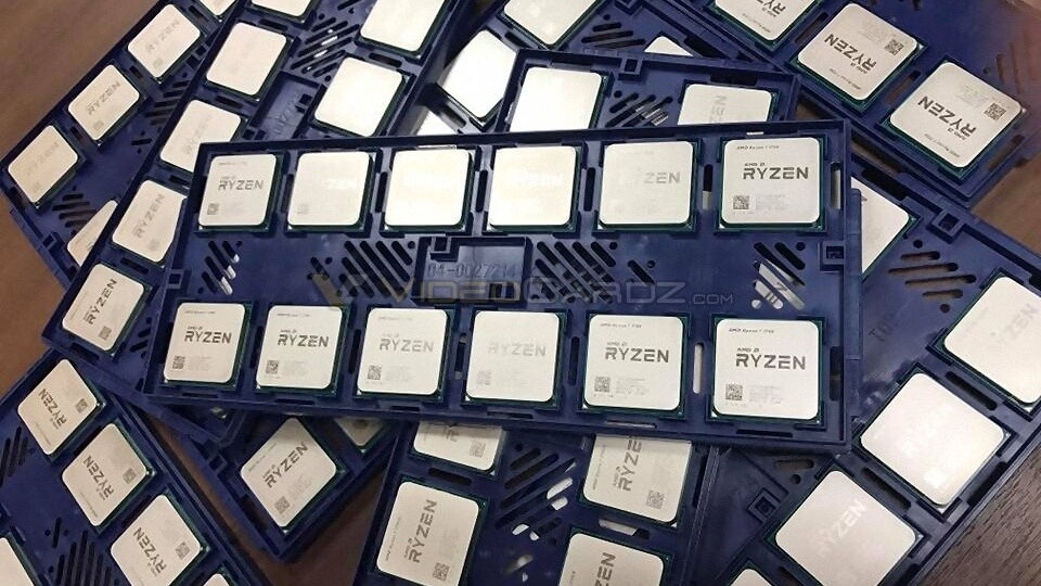 Die neuen Ryzen-Prozessoren von AMD im Tray. (Bildquelle: Videocardz)