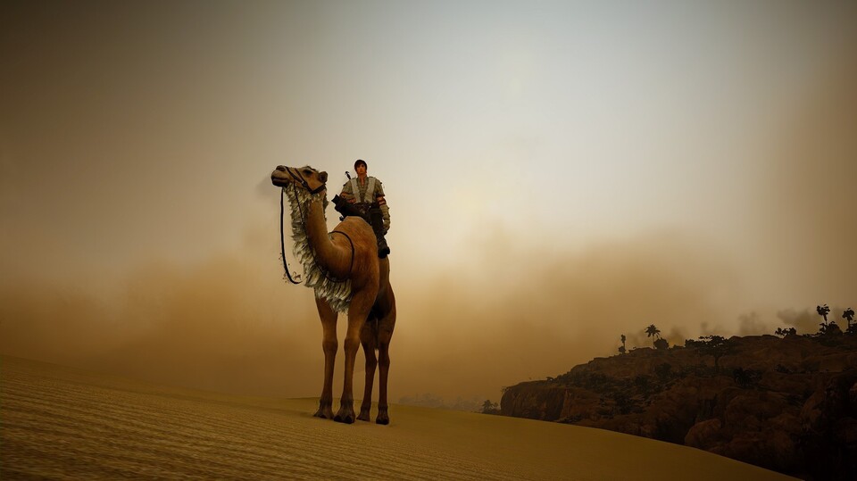 Ohne Kamel sind wir in der Wüste aufgeschmissen.