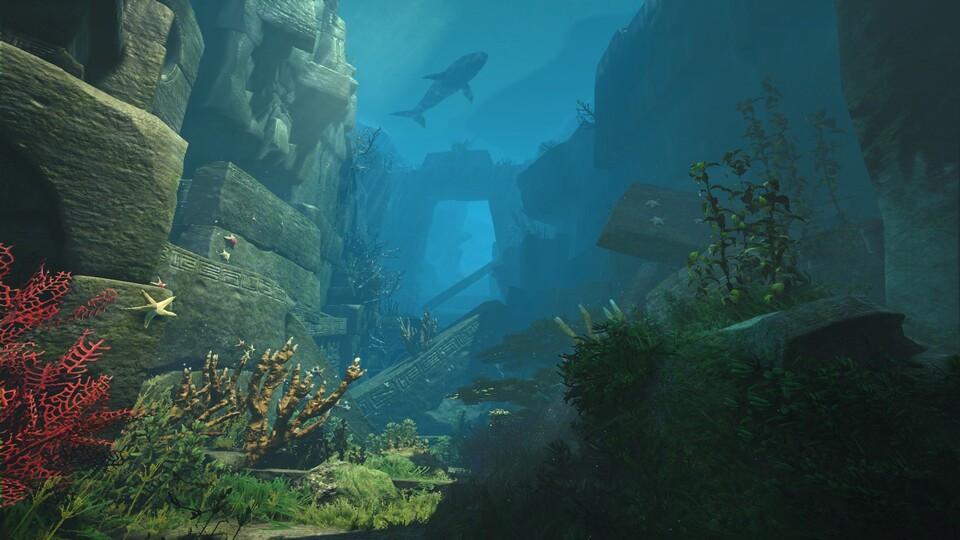 Black Desert Online bietet auch unter dem Meer eine neue Welt.