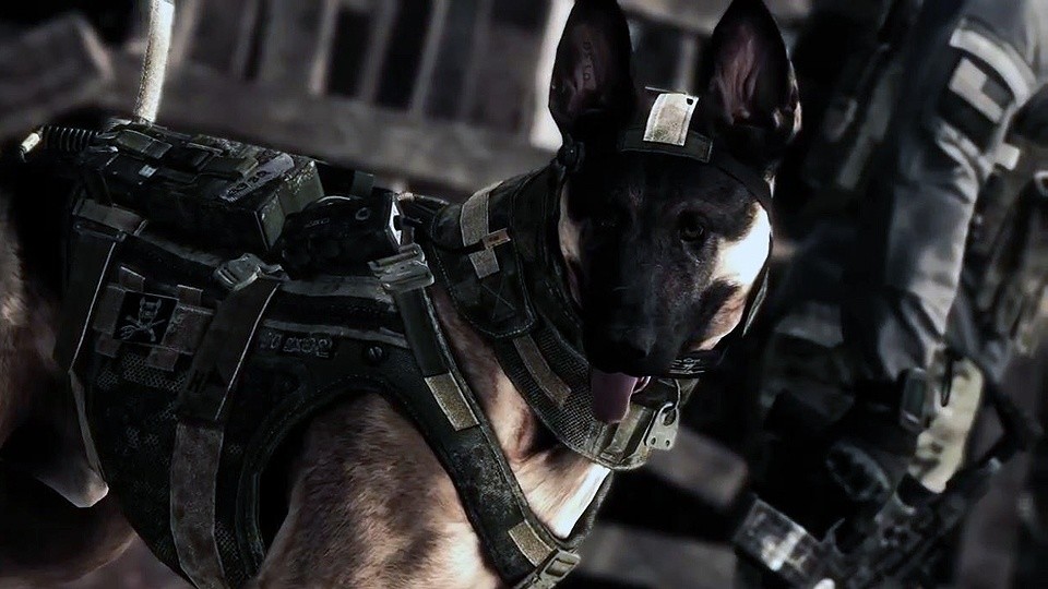 Der noch namenlose Hund ist Teil des Ghost-Teams und kann Sprengstoff erschnüffeln.