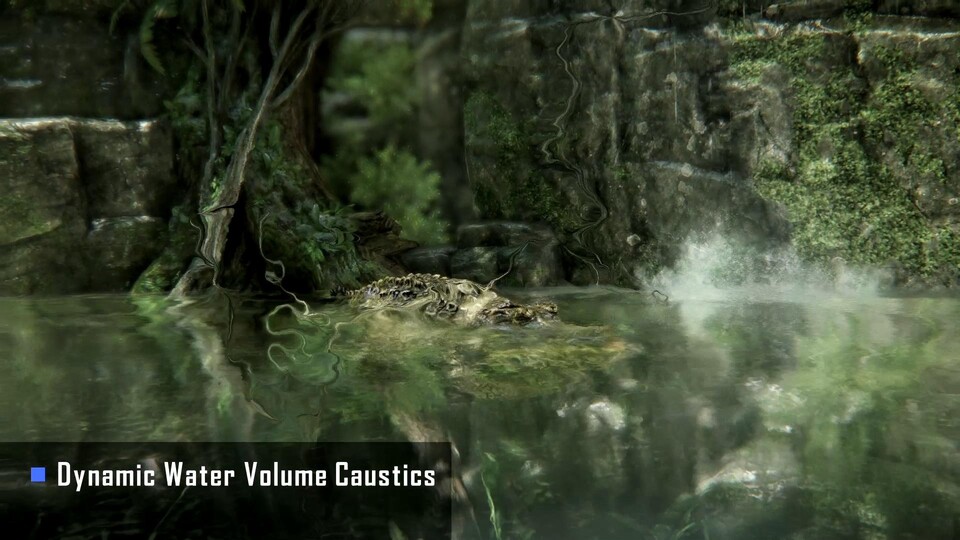 Dynamische Lichtspiegelungen sind sogar am Alligator sichtbar.