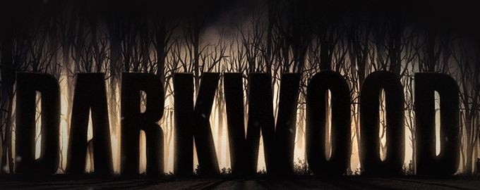 Das Surival-Horror-Spiel Darkwood ist seit kurzem im Handel.