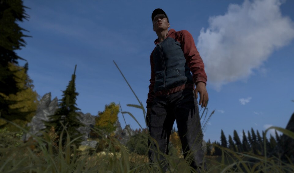 Projektleiter Dean Hall offenbar die Absicht, die Verantwortung für die DayZ-Standalone irgendwann an einen anderen Game-Designer abzhutreten.