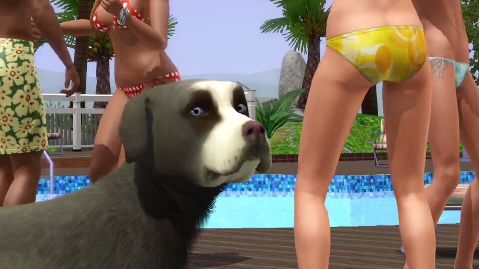 Debüt-Trailer zu Die Sims 3: Einfach Tierisch