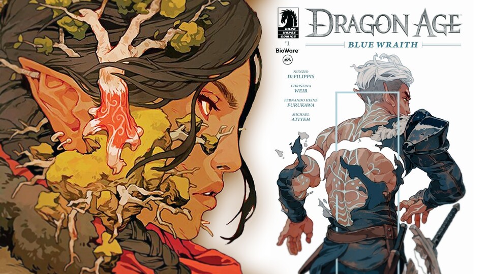 Present one of the most important Comics and Books of Dragon Age.