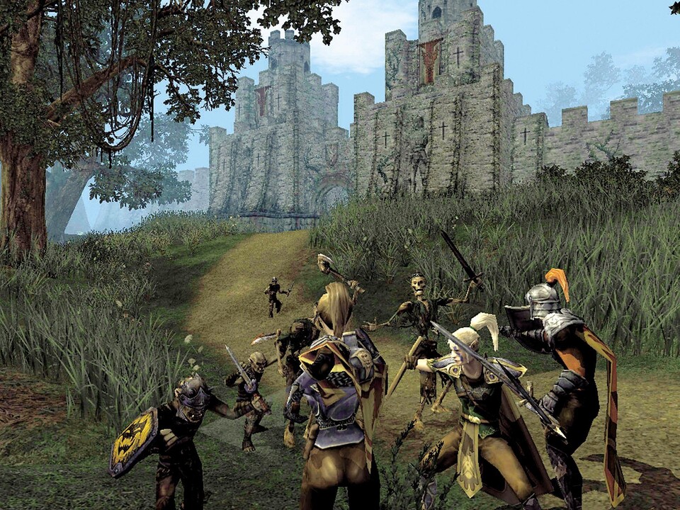 Zusammen mit NPC-Wachen säubern wir den Weg zur Stadt (im Hintergrund) von Unholden wie Goblins und Untoten.