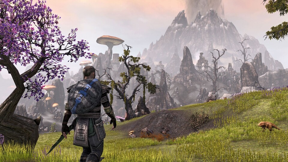 The Elder Scrolls Online wird eine Woche lang zu einem Free2Play-Titel.