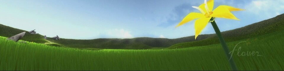 Eine Szene aus dem PSN-Download-Spiel Flower.