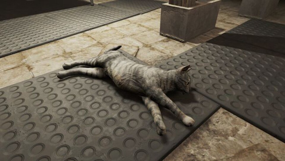 Die Mod ?»More Realistic Cats« kümmert sich um die Katzen in Fallout 4. ?