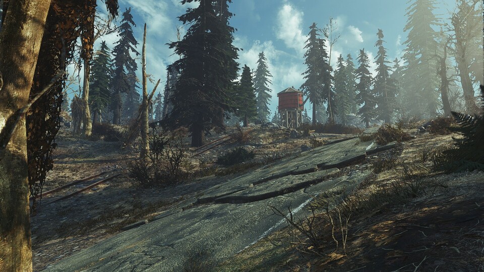 Die Wälder von Fallout: Cascadia sehen fantastisch aus.