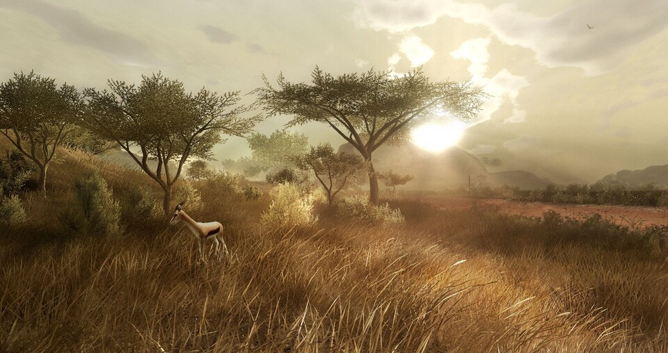 In Crysis gab es Krabben und Hühner, in Far Cry 2 werden ebenfalls Tiere die Landschaft beleben. Hier im Bild grasende Antilopen.
