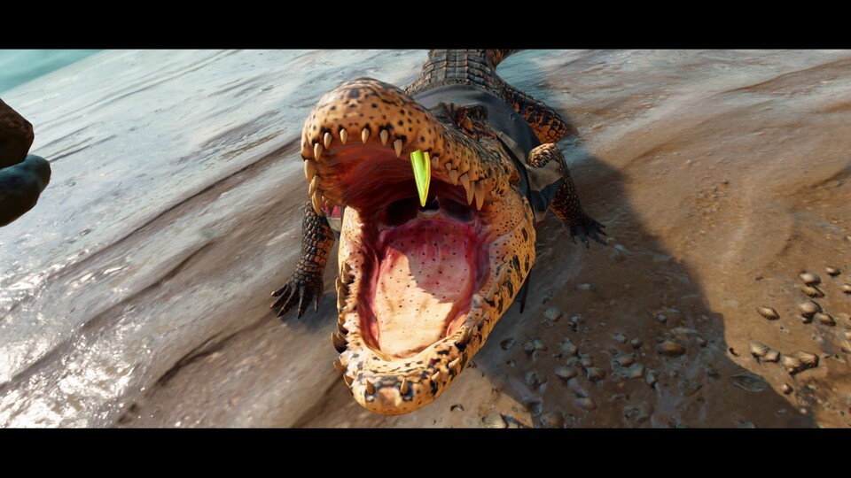 Solltet ihr vielleicht nicht im echten Leben nachmachen: Krokodile streicheln - selbst wenn sie so guapo wie Guapo sind.