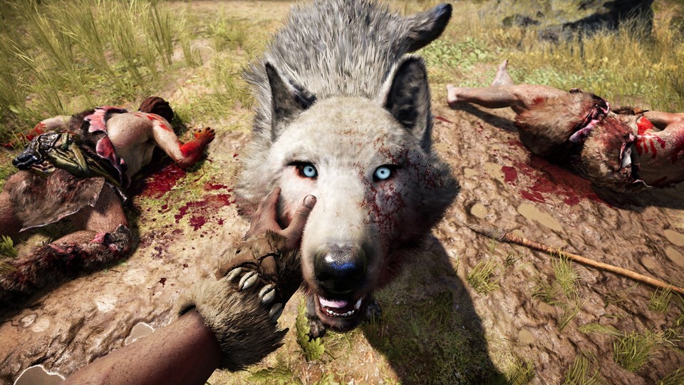 Fell von Tieren wurde im Vorgänger Far Cry 4 noch von Nvidias Hairworks dargestellt, in Far Cry Primal gibt es dagegen keine Gameworks-Effekte mehr zu sehen.