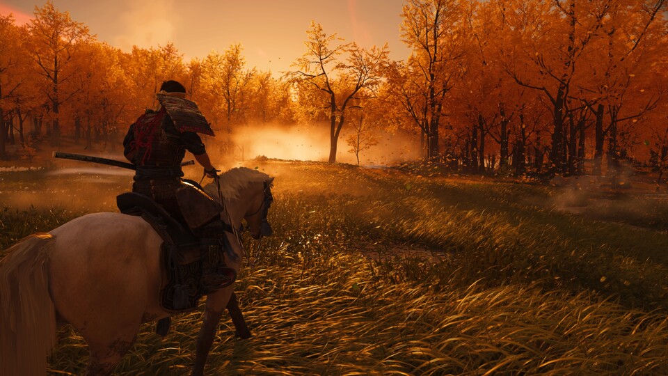 Bei Sonnenaufgang reite ich durch den Goldenen Wald.