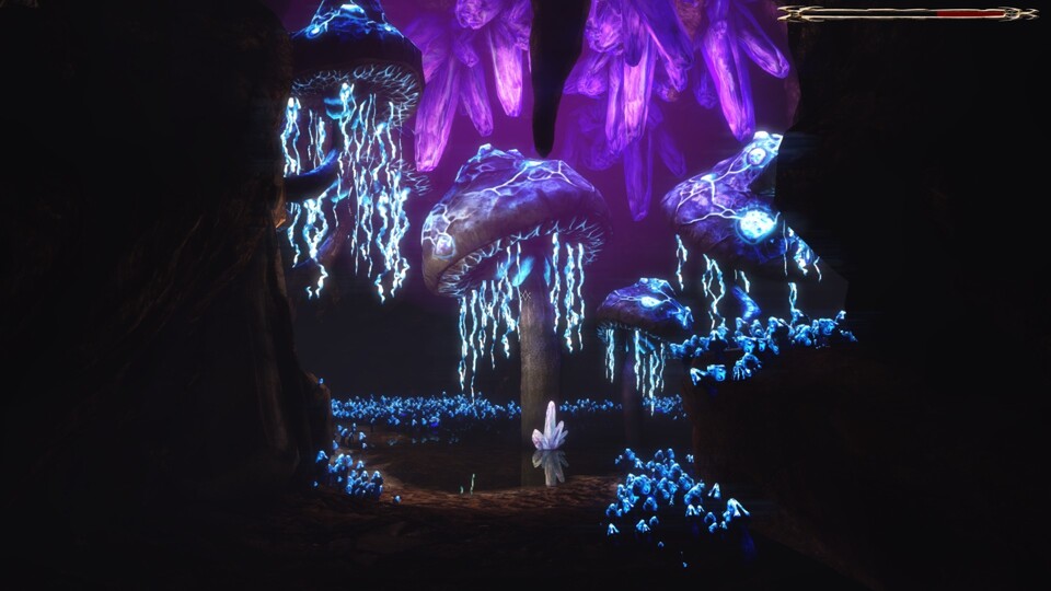 Fluoreszierende Pilze: Viele Teile der Höhlen sind wunderschön.