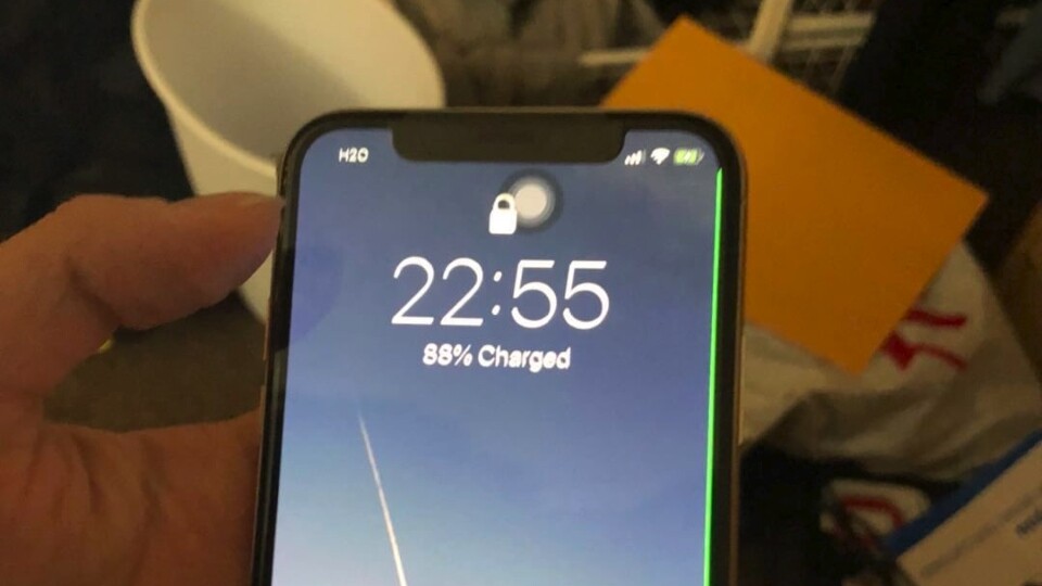 iPhone X Green Line (Bildquelle: Twitter/@fanguy9412)