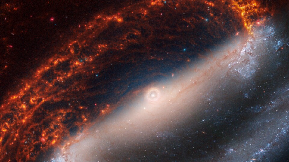 5. Spiralgalaxie NGC 1300