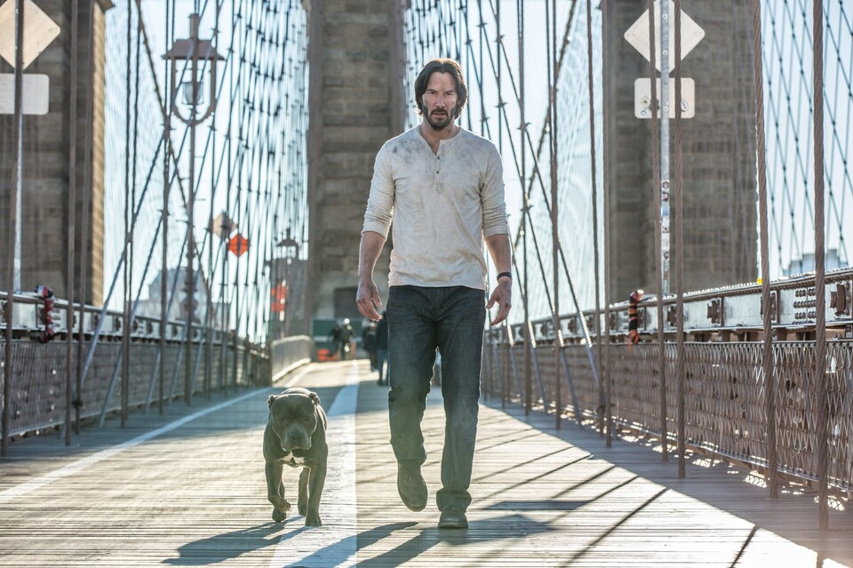Keanu Reeves mit seinem neuen Hund in John Wick 2.