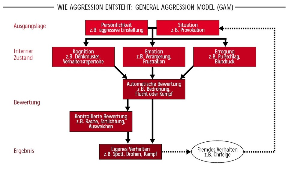 Wie Aggression entsteht: General Aggression Model (GAM)