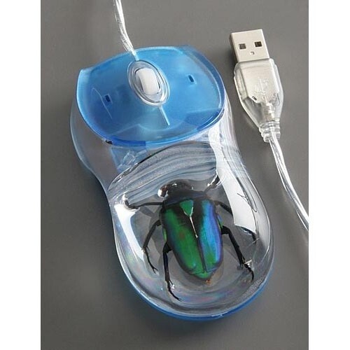 Der Käfer in dieser Maus ist tatsächlich ein echter, in Acryl eingegossener Käfer.