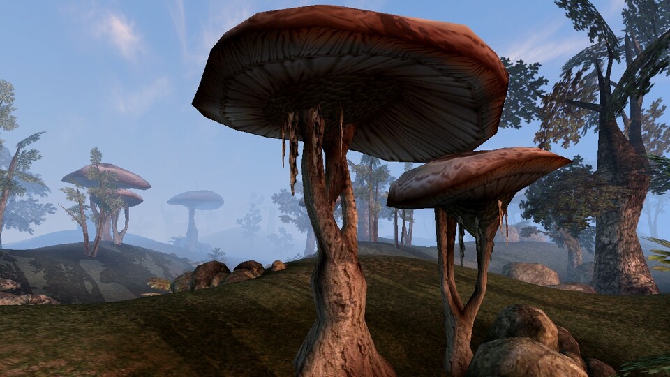 An die baumhohen Pilze werden sich die meisten Morrowind-Spieler sofort erinnern können.