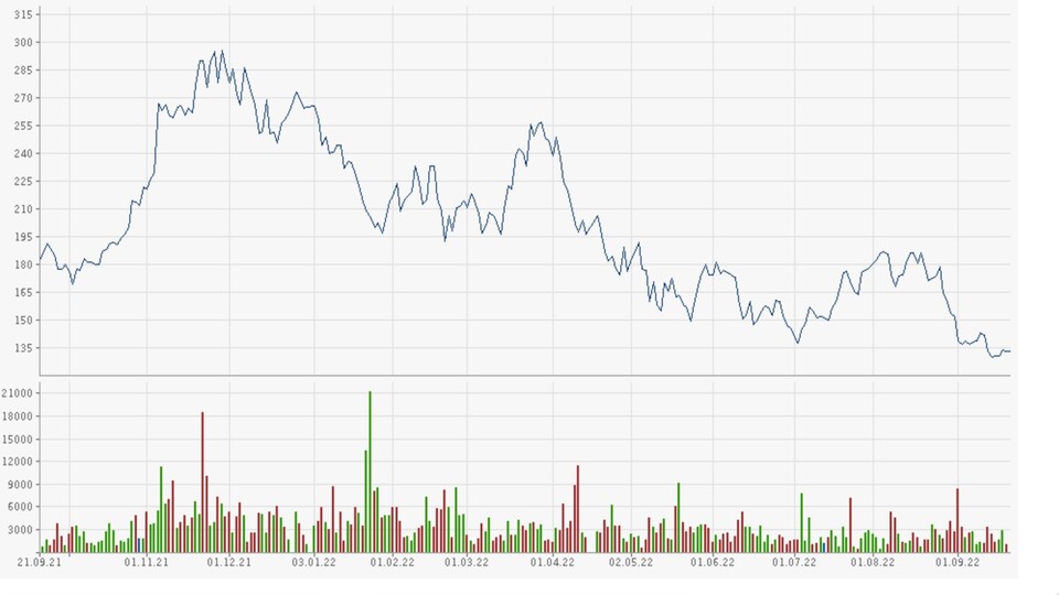 Die Entwicklung des Aktienkurses von Nvidia in den letzten zwölf Monaten. (Bildquelle: Finanzen.net)