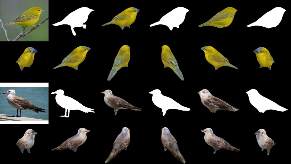 Der Weg vom Foto eines Vogels zum passenden 3D-Model.