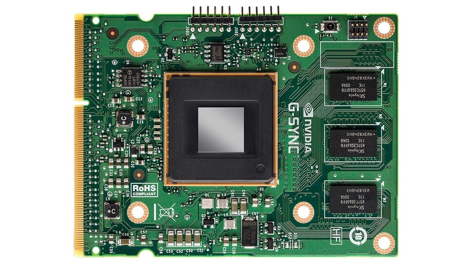 Das Nvidia G-Sync-Modul kostet für den Selbsteinbau 199 US-Dollar. 