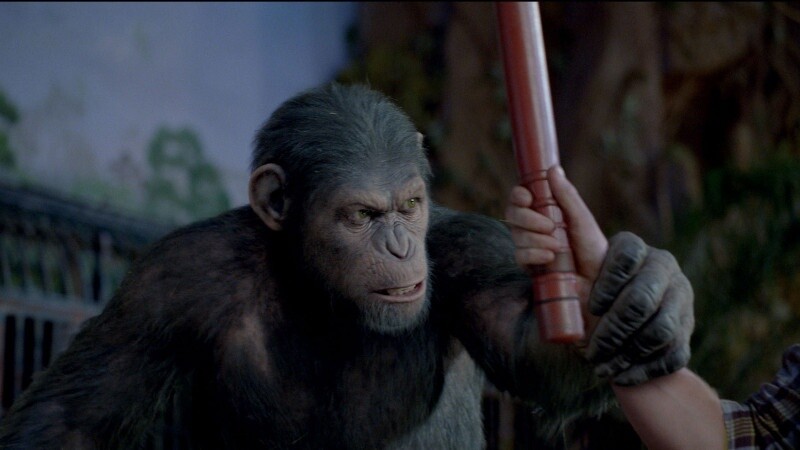 Affe Caesar wird von dem selben Darsteller gespielt, der schon King Kong und Gollum mimte: Andy Serkis.