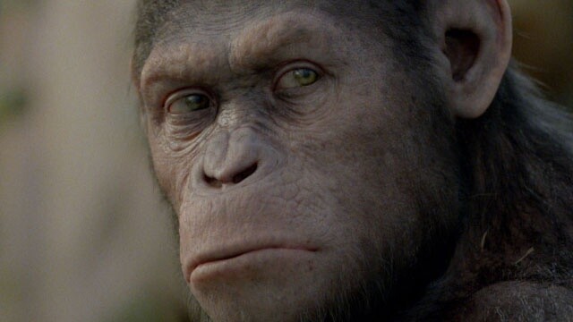 Filmclip aus Planet der Affen