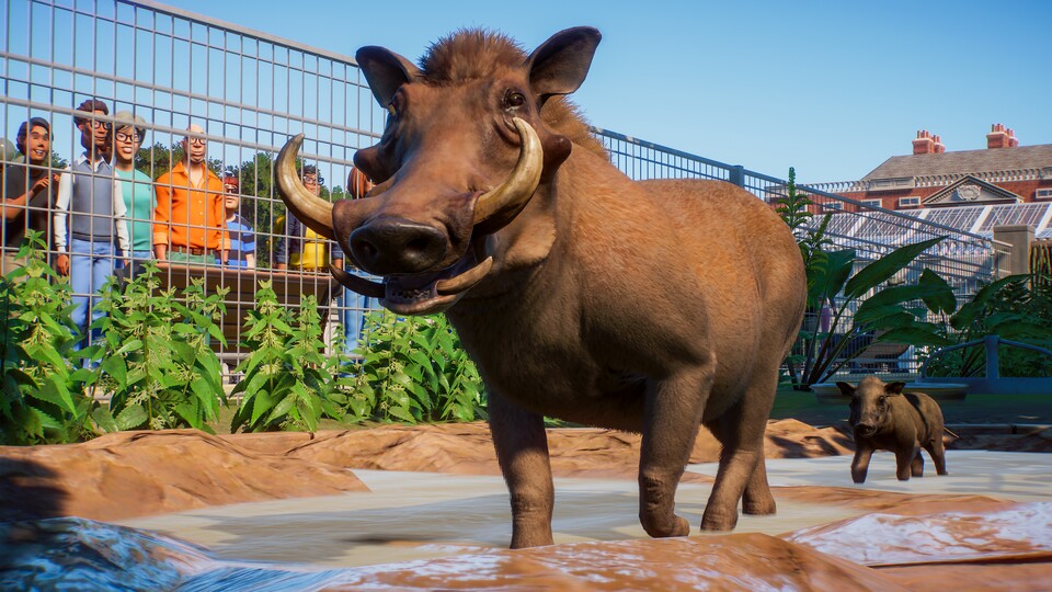 Planet Zoo steigt erflogreich in die Steam Charts ein.