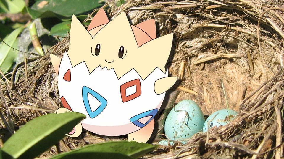 Togepi gibt es noch in Pokémon Go noch nicht. Stattdessen nutzen Spieler aktuell einen Bug, um Eier in Arenen zu benutzen.