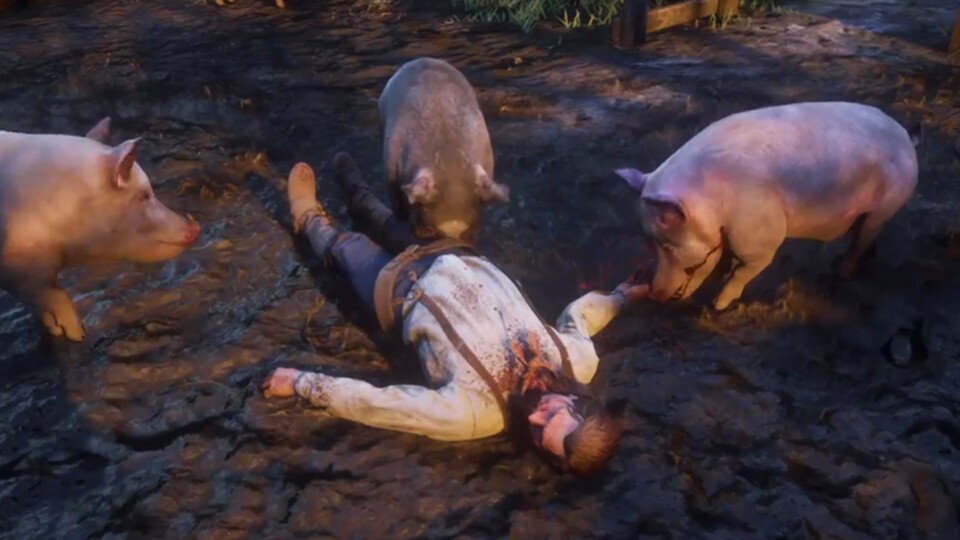 Schweine benehmen sich in Red Dead Redemption 2 wie... nun... Schweine. Und im Sinne des Realismus essen sie notfalls auch mal eine menschliche Leiche.