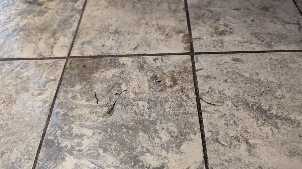 Ein wenig Schmutz auf dem Küchenboden, der mit dem Finger leicht wegzuwischen war. Für den den Mop des Q8 anscheinend eine schwierige Aufgabe.