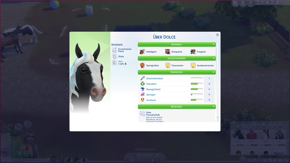 Auf dem Pferde-Info-Bildschirm sehen wir, welche Merkmale unser Pferd hat, welche Turniere es gewinnen konnte und wie es um Fähigkeiten und Beziehungen steht.