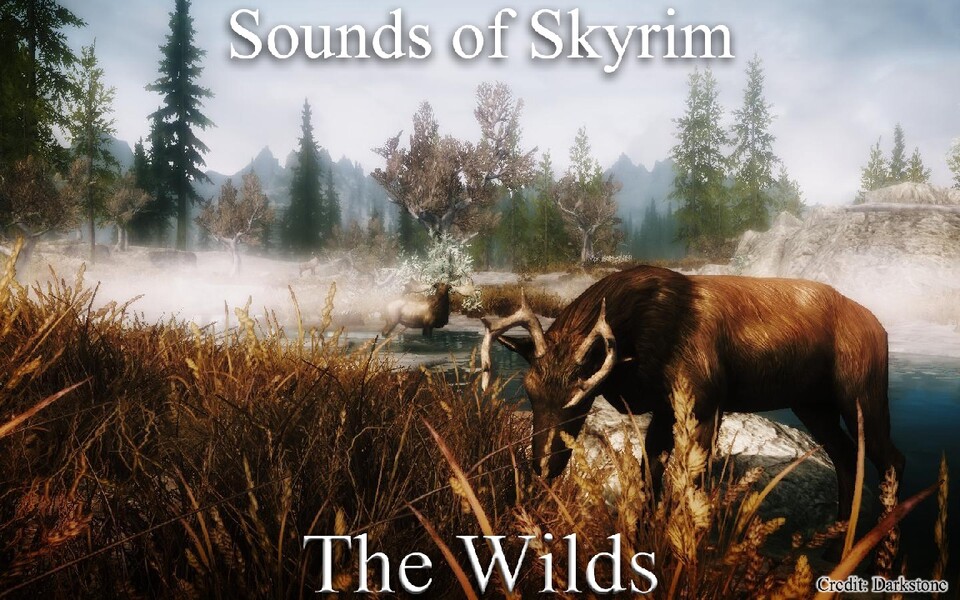 »The Wilds« erweitert das Spiel um zusätzliche Soundeffekte für die Flora und Fauna in Himmelsrand.