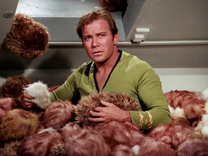 Auch Captain James T. Kirk umzingeln von Tribbles aus der Original-Serie gehört zu den Top 10 der besten Star-Trek-Folgen.