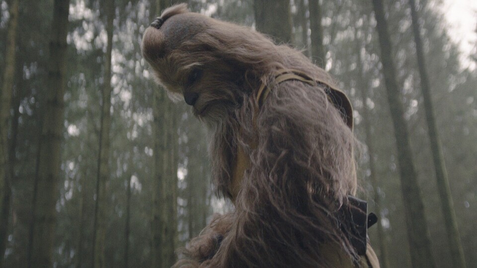 Ist das ein Hund? Oder doch Wookie-Jedi Kelnacca in der neuen Star-Wars-Serie The Acolyte? Bildquelle: DisneyLucasfilm
